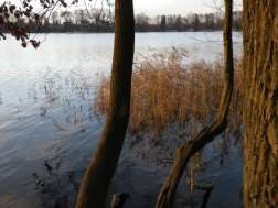 Bild "Newsletter/Newsletter Dezember 2016_9.jpg"