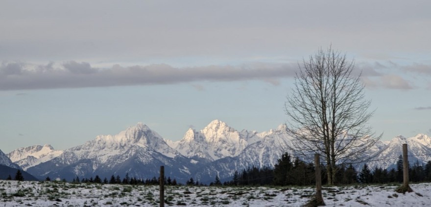 Bild "Osterwies_3.jpg"