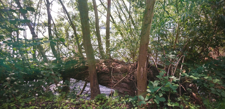 Bild "3.Weltentag.jpg"