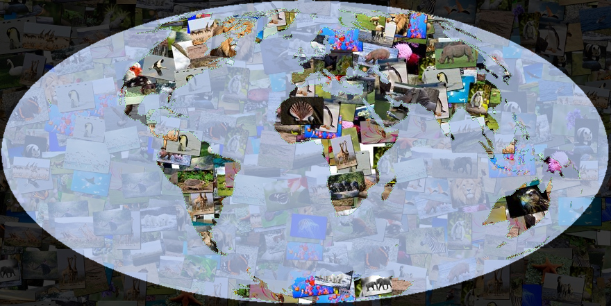 Bild "5.Weltentag.jpg"